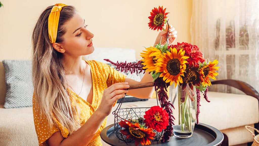 Close up of bouquet arrangement. Woman puts sunflowers and zinnias in vase on table at home. Fresh fall yellow red brown blooms. Interior and decor